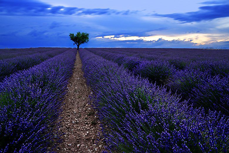 L'heure bleue