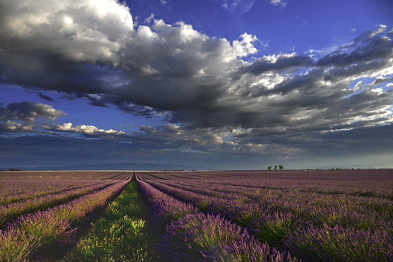 Nuages du petit matin