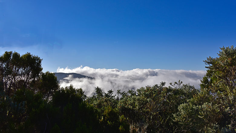Au dessus des nuages...