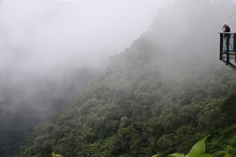 Dans les nuages