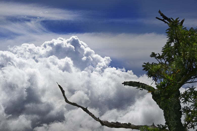 Au dessus des nuages...