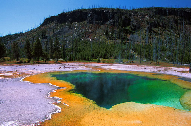 Yellowstone