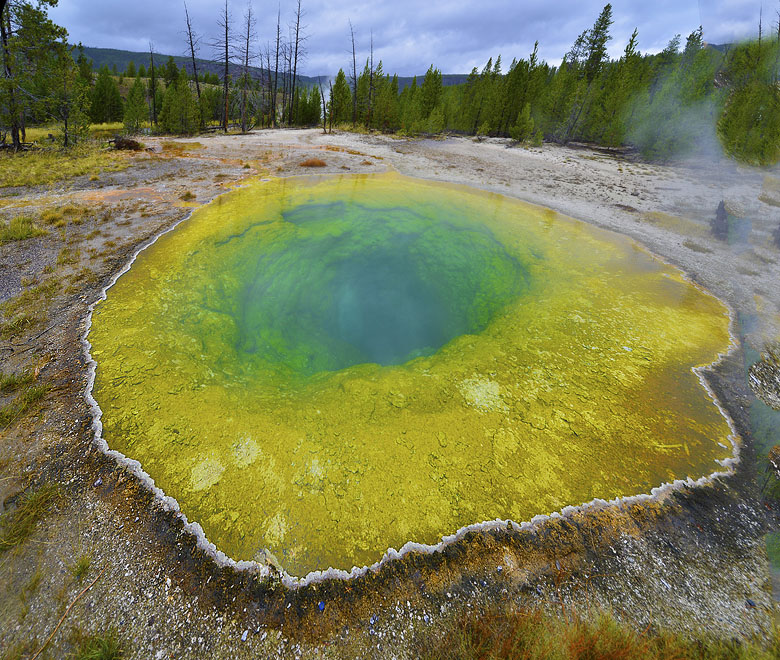 Yellowstone