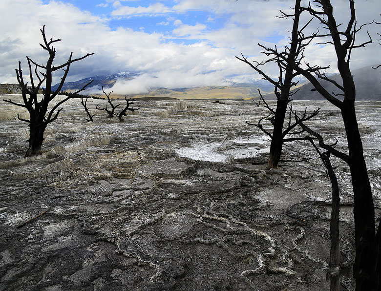 Yellowstone