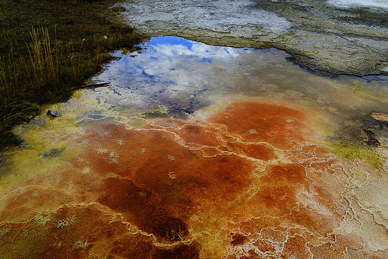 Yellowstone
