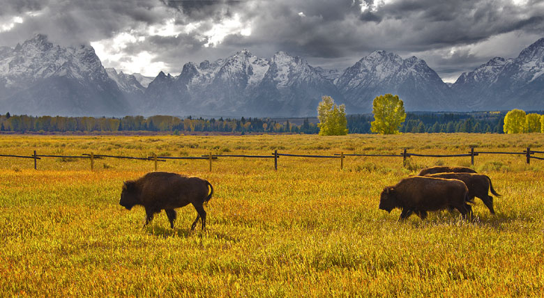 Grand Teton