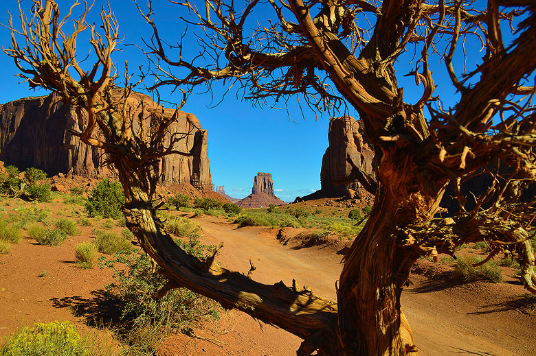 Monument Valley